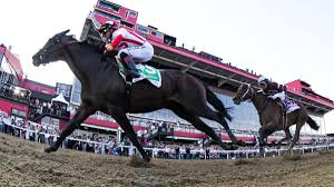 Heart of Honor: A British Contender at the 2025 Preakness Stakes