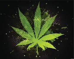Resultado de imagen de Legalization