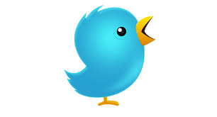 Follow Cuy