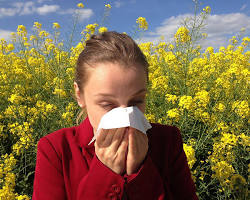 Image of someone sneezing dramatically while surrounded by pollen