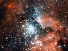 Image result for stellar nursery
