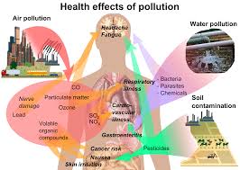 Image result for ecological hazards due to anthropogenic effects