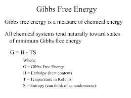 Image result for free energy