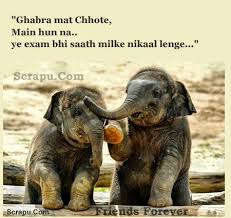 Image result for whatsapp dp for exam time