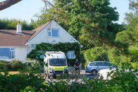 Man Arrested in Killing of U.K. Ex-Lawmaker Is Released