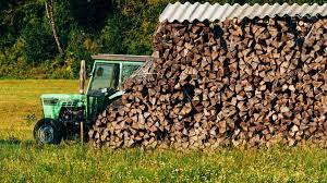 Il part couper du bois en forêt et ne revient pas : un agriculteur retrouvé mort coincé sous son tracteur