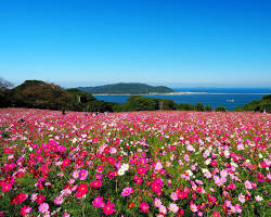 能古島 福岡の画像