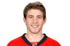 Image result for mike hoffman hockey