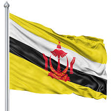 Image result for brunei darussalam flag