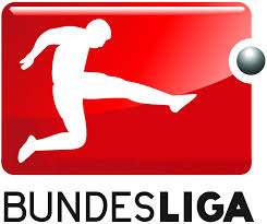 Image result for EUROPEAN TOP 5 LEAGUE LOGOS