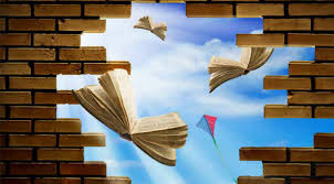 Resultado de imagem para educação para  além dos muros