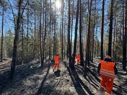Nyheter, Brann | Skogbrann blusser opp langs Sørlandsbanen – helikopter satt inn i slukningsarbeidet