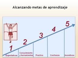 Metas de Aprendizaje