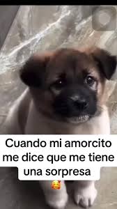 Muy impaciente 🤣 | TikTok