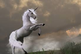 Image result for unicorns