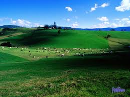 Image result for pictures gallery for amazing places of the world