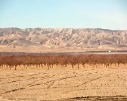 Image of San Joaquin Valley Desert California