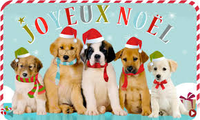 Résultat de recherche d'images pour 