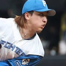 日本ハム 対 中日