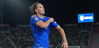 Trend Google: lobotka