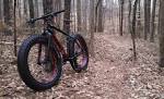 Specialized fatboy