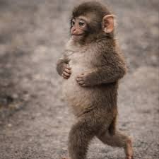 Akaansha Sky Media | Hi everyone I'm ok, I'm not hurt after ...