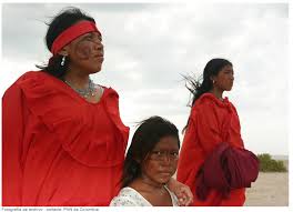 Image result for wayuu