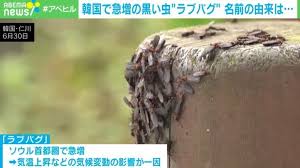 ｄメニューニュース - News update