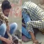 Snake charmer strangled by python in India during live show