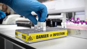 What Is Hantavirus? Case Identified in Switzerland Linked to Cruise Ship Outbreak