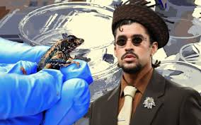 El Sapo Concho, un espécimen endémico que Bad Bunny ayudó a salvar de la extinción