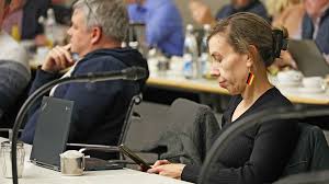 Schwäbisch Hall: AfD verliert Sitz, Pilot stirbt bei Flugzeugabsturz - Imagen principal del artículo