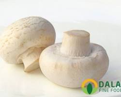 Hình ảnh về Nấm nút (Agaricus bisporus)