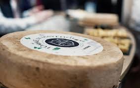 « C’est la fin » : la fromagerie bio d’Entrammes, qui employait vingt personnes, ferme faute de repreneur