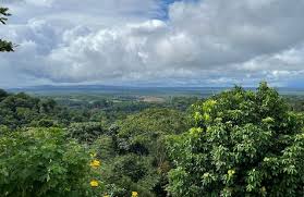 Guyane: Juillet Plus Pluvieux que Prévu! Préparez Vos Parapluies!