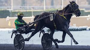 Turismo en Vincennes: El gran evento de carreras de caballos en 2026