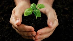 Image result for responsibility