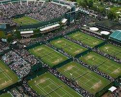 Зображення: Wimbledon tennis tournament