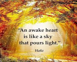 Image result for hafiz heart