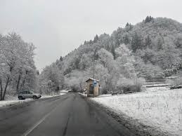 Trend Google: neve