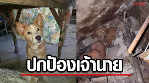 ข่าวสด - News update