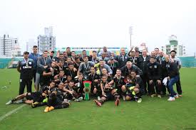 Resultado de imagem para figueirense/sc