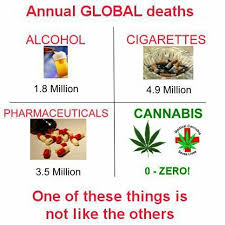 Image result for pharmaceutical death drugs