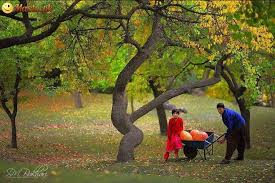 Image result for beautiful places in pakistan