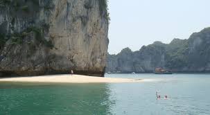 Image result for lan ha bay