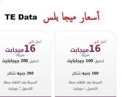 صورة باقة سرعة 8 ميجابت من تى اى داتا