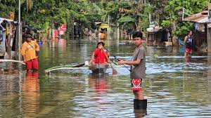PCIJ.org - News update