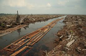 Image result for indonesia water pollution