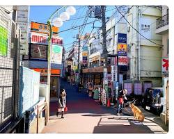 person and their dog walking in Shimokitazawaの画像