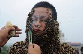 Résultat de recherche d'images pour "covered in bees"